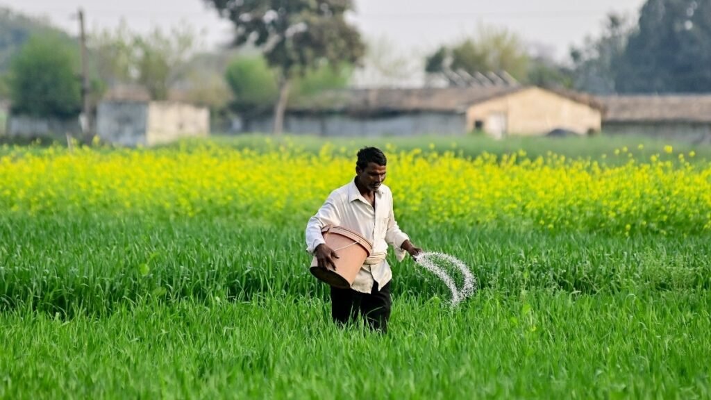 India Secures Record Urea Import at Double the Price Amid Hormuz Supply Crisis