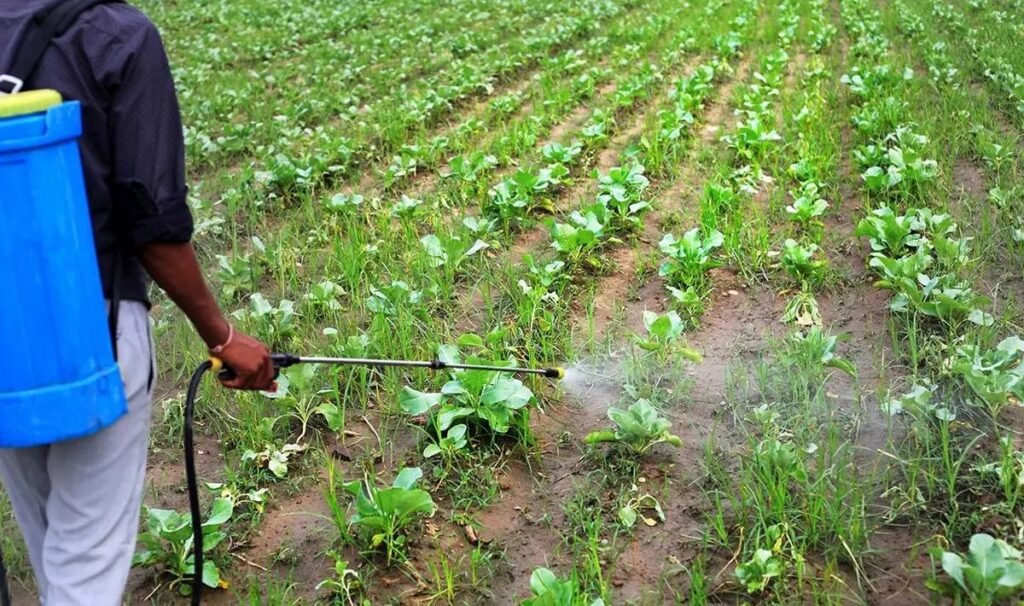 CropLife India Pushes for Data Protection in New Pesticides Bill