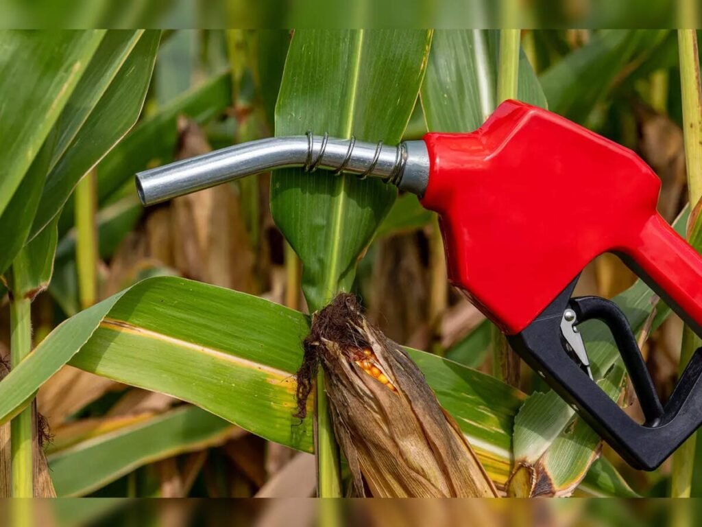 Structural Transformation: Rewriting the Sugar Cycles via the Ethanol Ecosystem