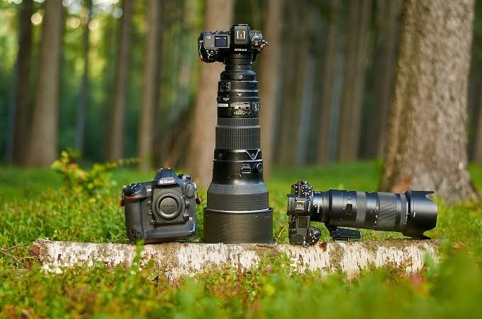 Top 5 Cameras for Wildlife and Motion Photography in 2026
