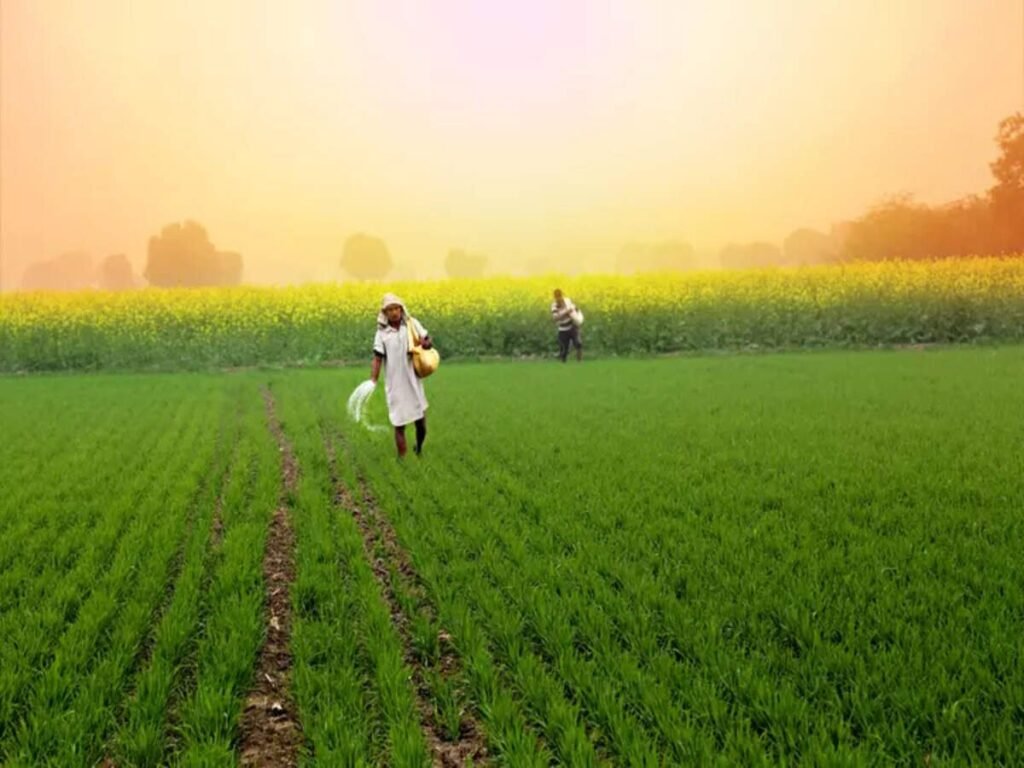 Down, But Not Out: Finding Tomorrow’s Fertilizer Winners Amid Industry Headwinds