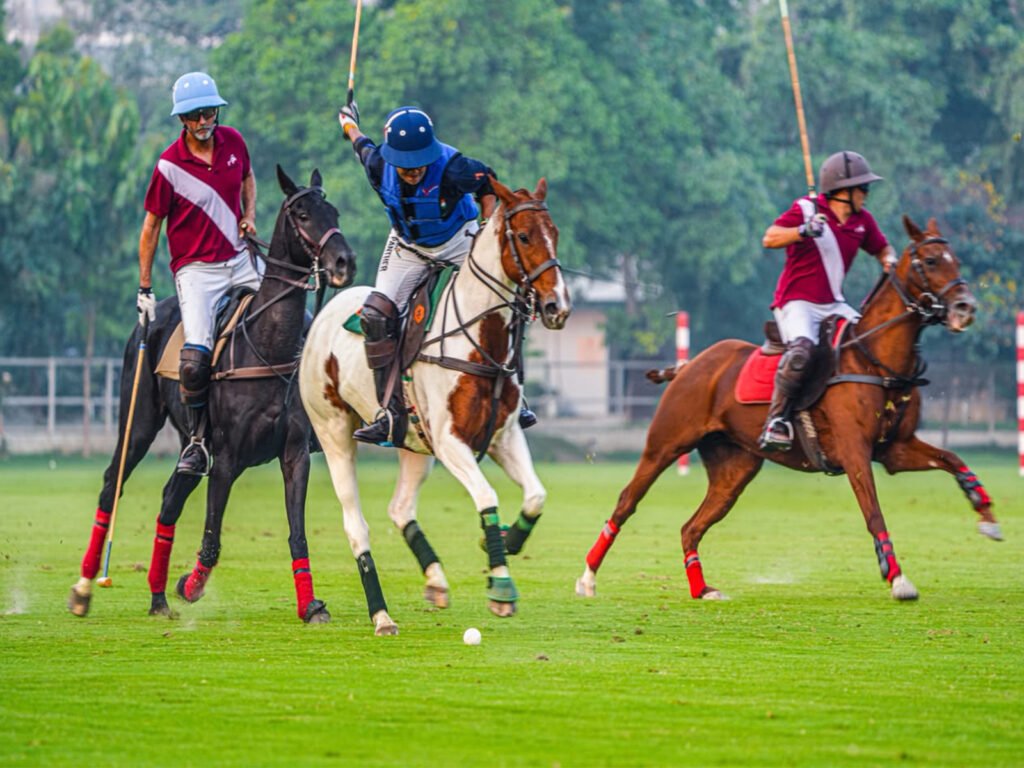 Jindal Panther clinches Championship Title with Commanding 10–5.5 victory over Aravali Jindal Panther clinches Championship Title with Commanding 10–5.5 victory over Aravali